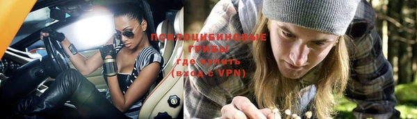 гидропоника Алексеевка