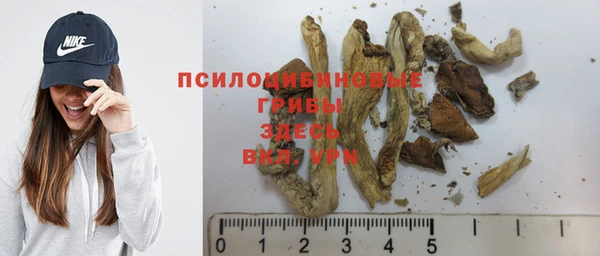 ПСИЛОЦИБИНОВЫЕ ГРИБЫ Алзамай