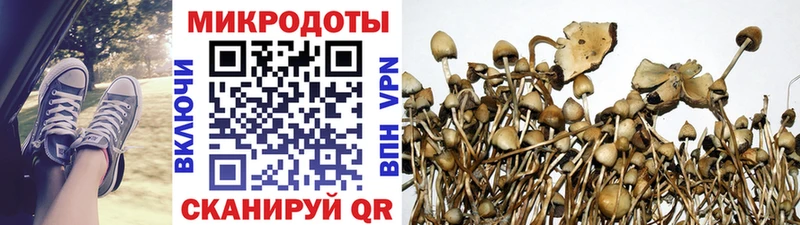 Галлюциногенные грибы ЛСД  Гвардейск 